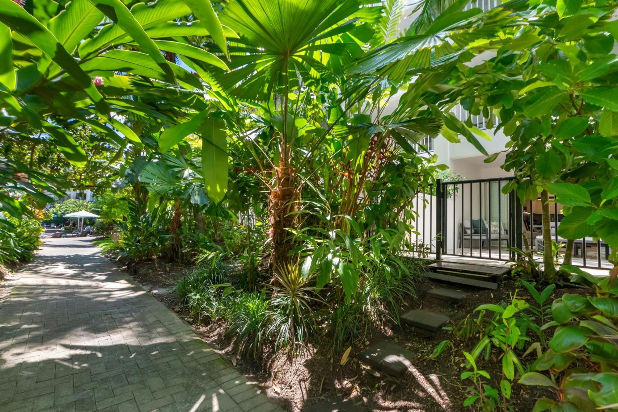 Elysium Private Apartments At Beach Club & Spa Palm Cove Bagian luar foto